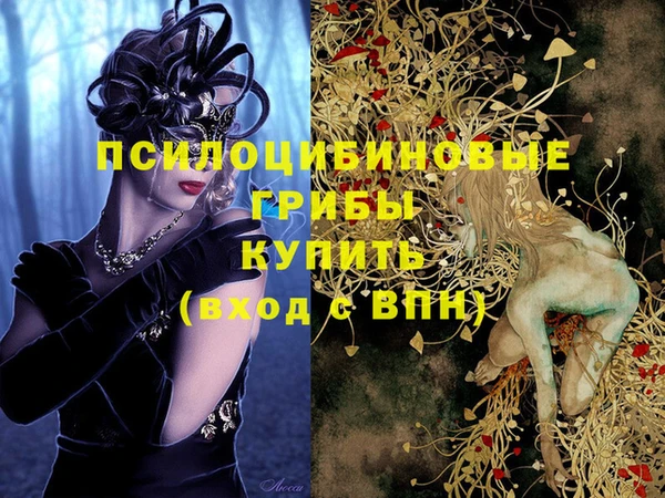 ГАЛЛЮЦИНОГЕННЫЕ ГРИБЫ Балахна