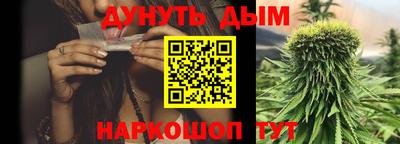 прущие грибы Пенза
