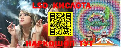 прущие грибы Пенза