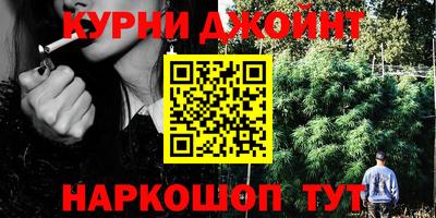 прущие грибы Пенза