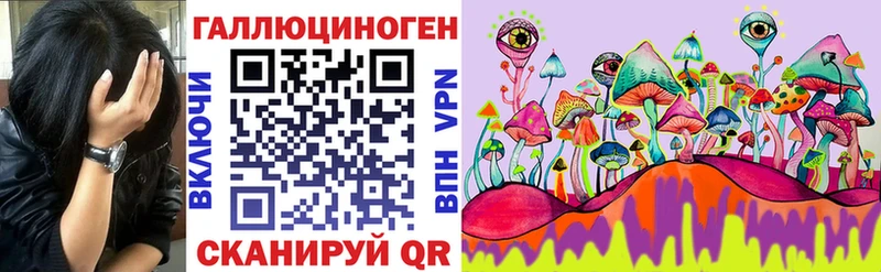 Псилоцибиновые грибы Cubensis  мориарти какой сайт  Унеча 