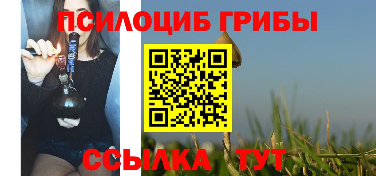 Унеча  что такое наркотик  Вход с VPN  Псилоцибиновые грибы Psilocybine cubensis  Псилоцибиновые грибы Psilocybe 