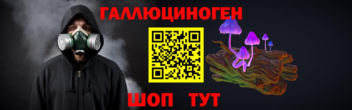 Галлюциногенные грибы мухоморы Унеча